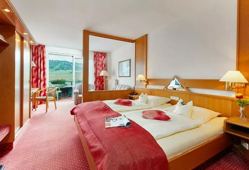 Superior-huone, Sporthotel Zum Hohen Eimberg