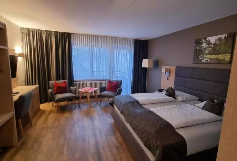 Superior-huone Parveke, Sporthotel Zum Hohen Eimberg