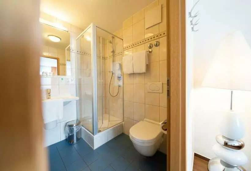 Superior-huone, Ates Hotel Kehl