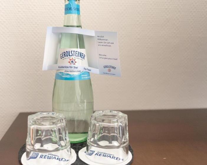 标准间, Best Western Hotel Trier City