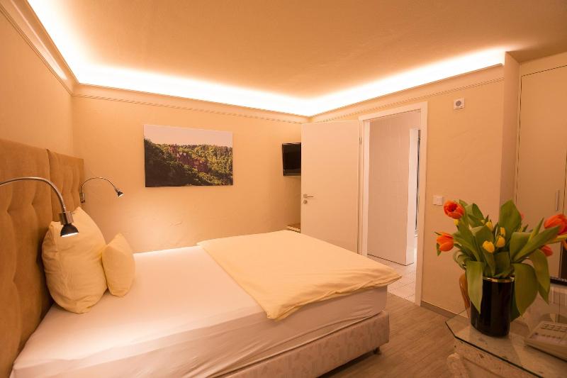 스탠다드 싱글 룸, Heidelberger Hof