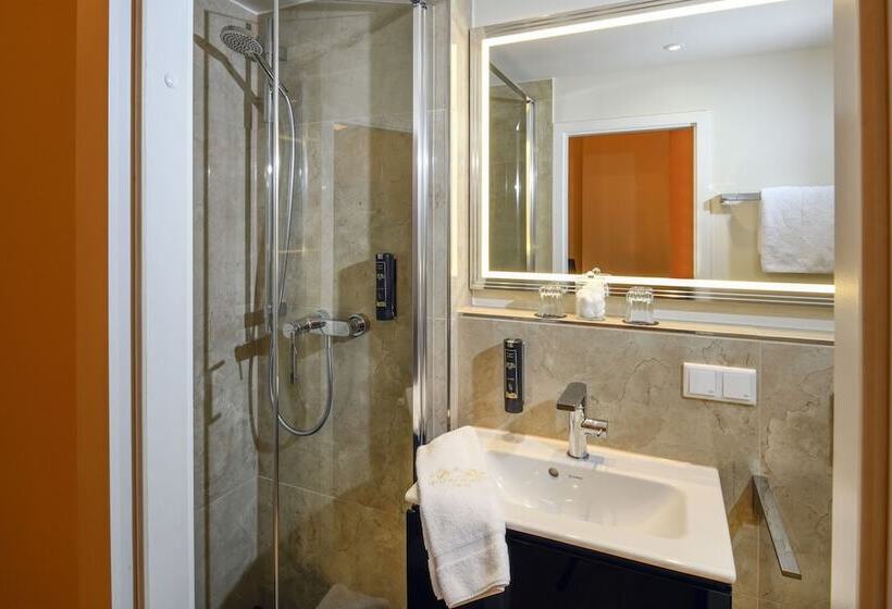 스탠다드 싱글 룸, Heidelberger Hof