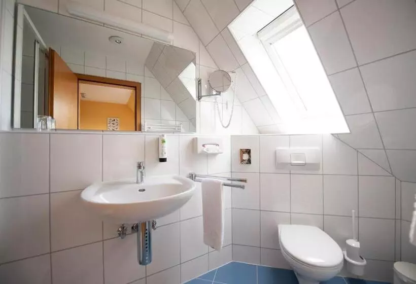 エコノミーシングルルーム, Landhotel Kauzenberg