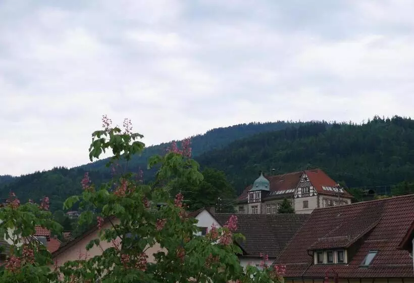 ファミリールーム, Restaurant   Metzgerei Sonne