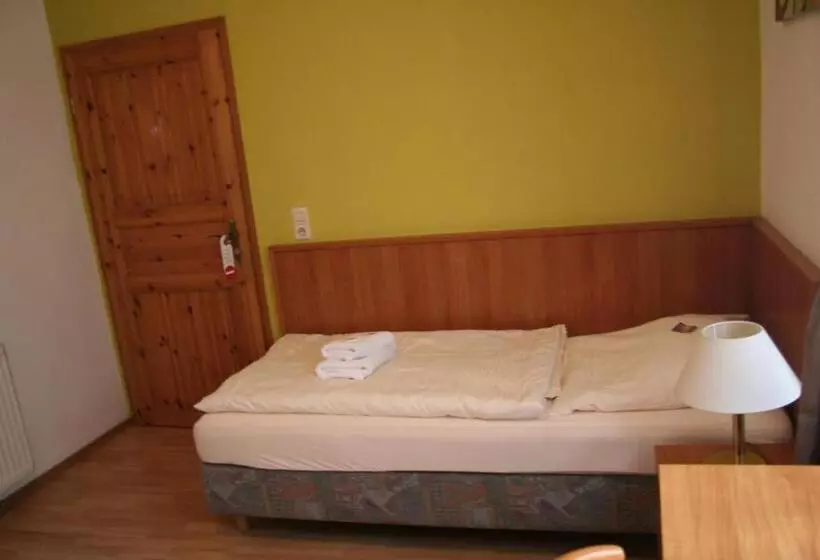 スタンダードシングルルーム, Landgasthof Hotel Rebe Alzey