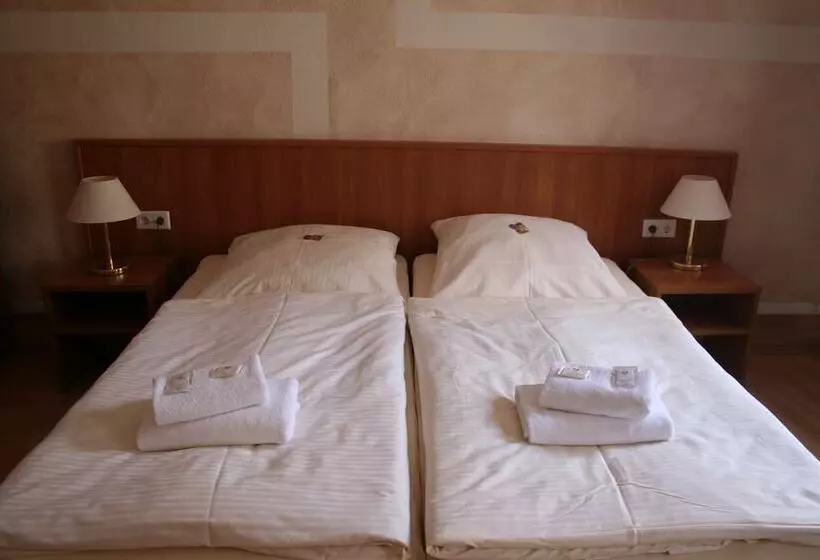 スタンダードルーム, Landgasthof Hotel Rebe Alzey