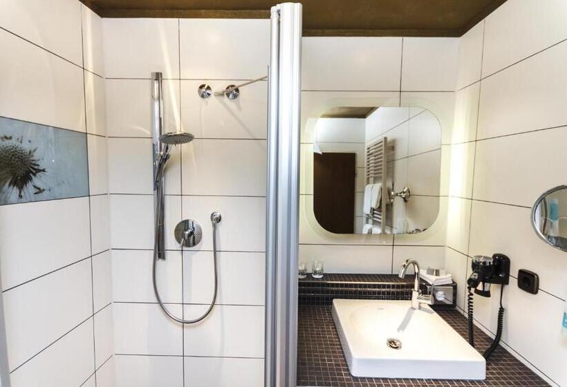 Номер Стандарт Индивидуальный, Rebgarten Hotel Adler