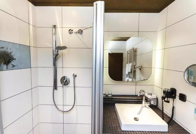 スタンダードシングルルーム, Rebgarten Hotel Adler