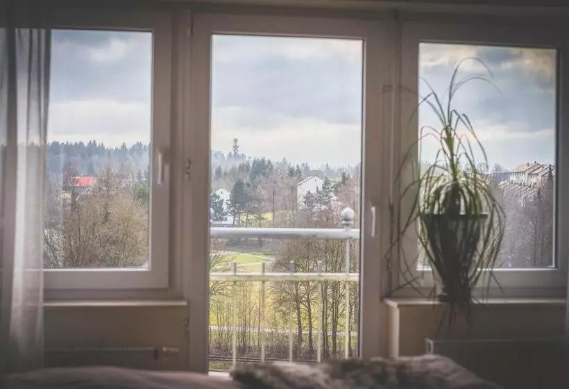 バルコニー付き１ベッドルームアパートメント, Rebgarten Hotel Adler
