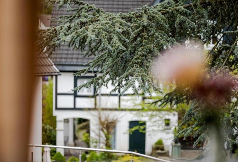 舒适型单人间, Romantik Hotel Neuhaus