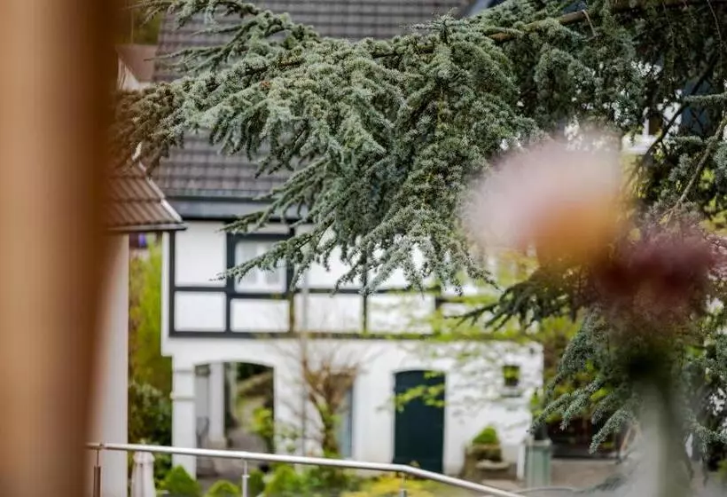 コンフォートシングルルーム, Romantik Hotel Neuhaus
