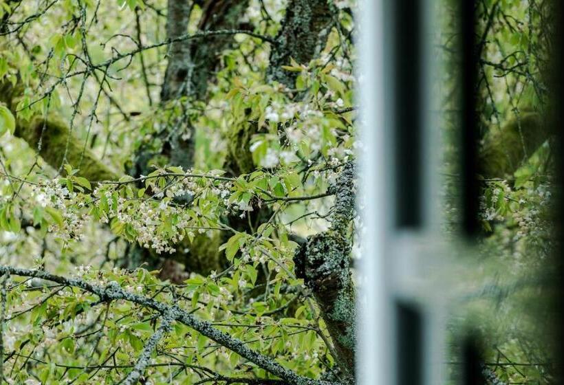 豪华房间, Romantik Hotel Neuhaus