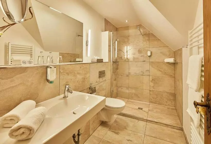 コンフォートルーム, Romantikhotel Platte