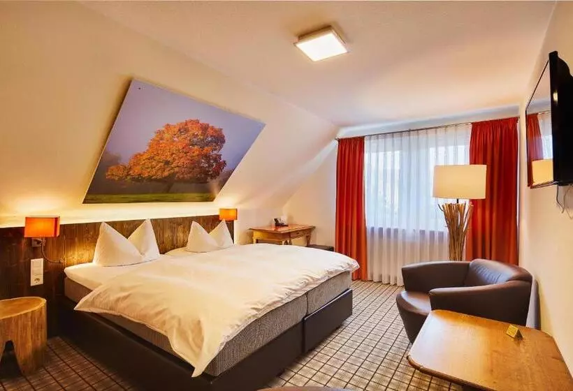 コンフォートルーム, Romantikhotel Platte