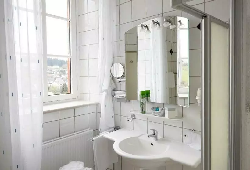 スタンダードシングルルーム, Schloßhotel Kurfürstliches Amtshaus Dauner Burg