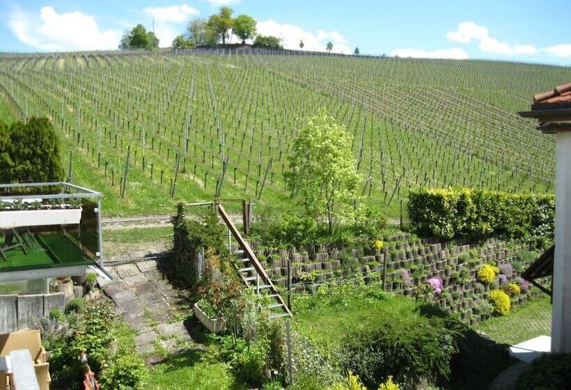 Номер Стандарт Индивидуальный, Seehotel Off