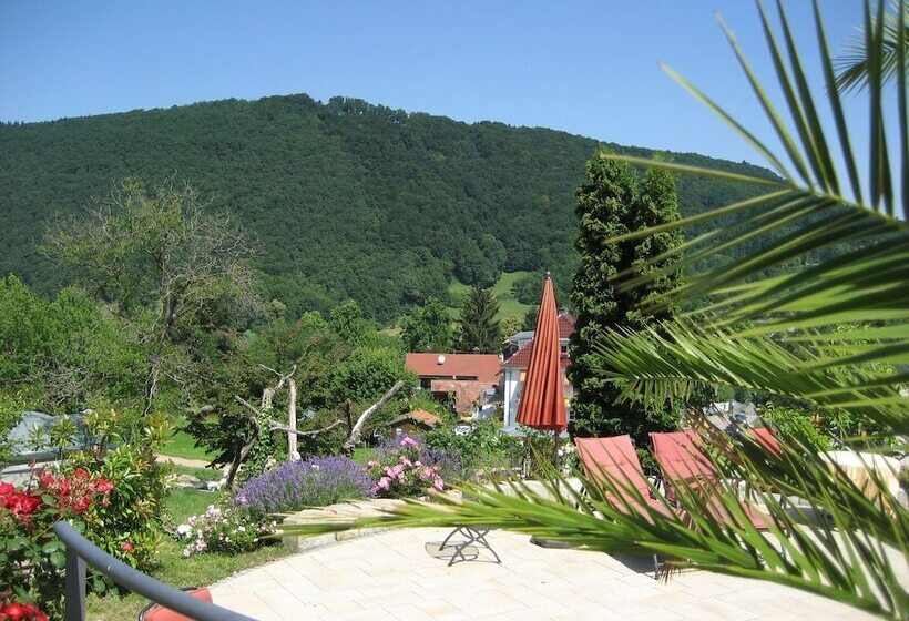 스탠다드 싱글 룸, Anna