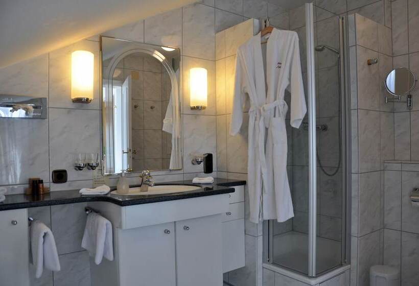 수피리어 룸, Anna