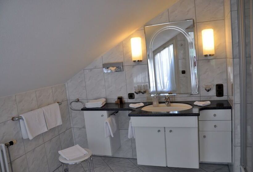 수피리어 룸, Anna