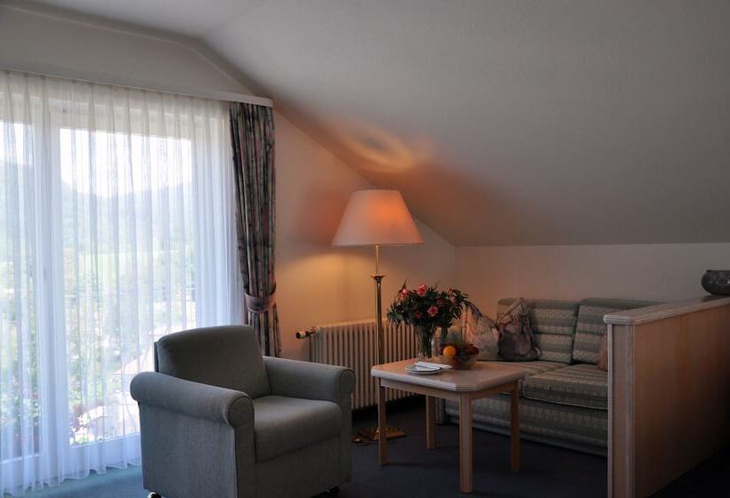 수피리어 룸, Anna