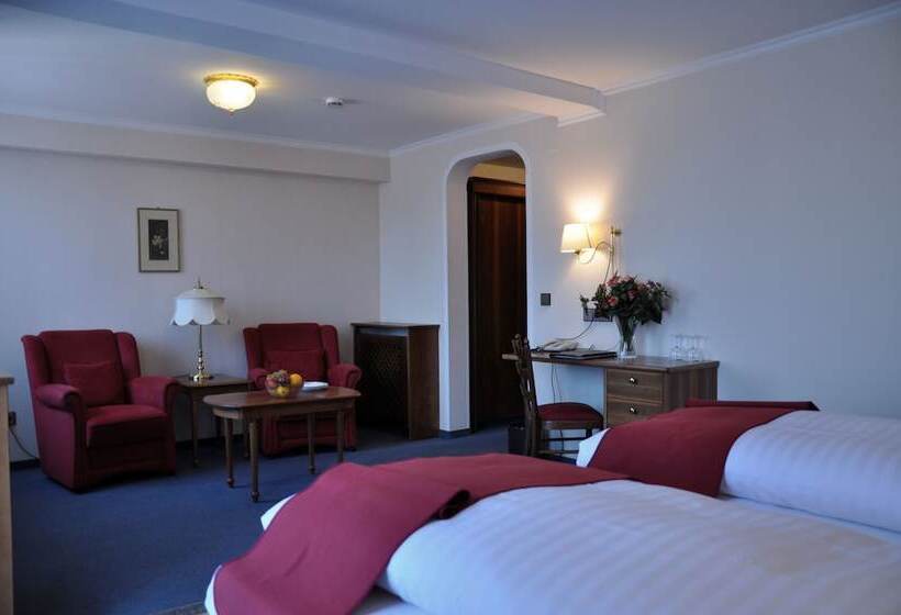 수피리어 룸, Anna