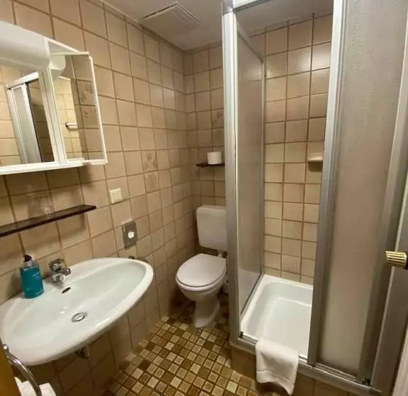 Standard Single Room, Gasthof Alter Ritter