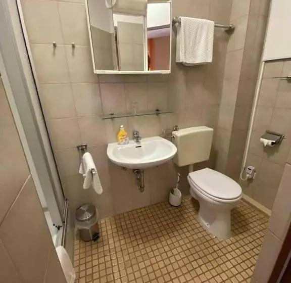 Standard Single Room, Gasthof Alter Ritter