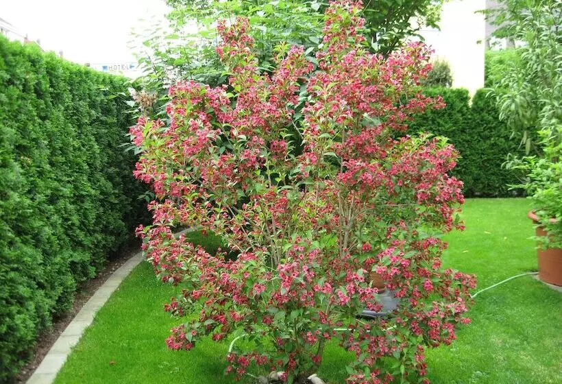 سوییت, Kriemhild Am Hirschgarten