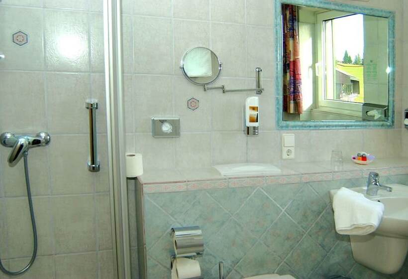 Номер Deluxe Одноместный, Boutiquehotel Ochsen