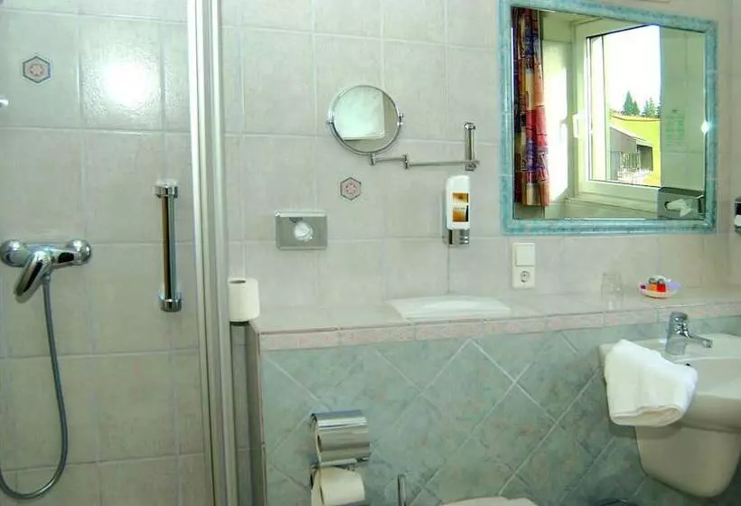 Deluxe Yhden Hengen Huone, Boutiquehotel Ochsen