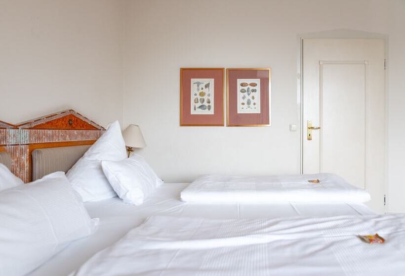 스탠다드 룸, Olymp Munich