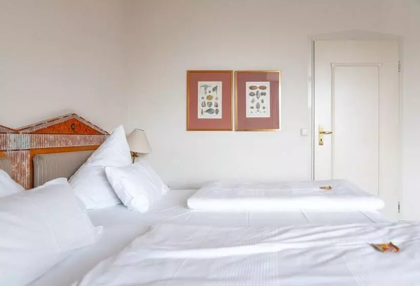Quarto Estandar, Olymp Munich