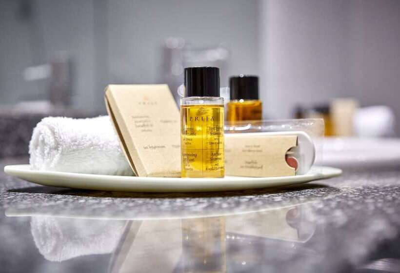 스탠다드 전망 룸, Schillingshof