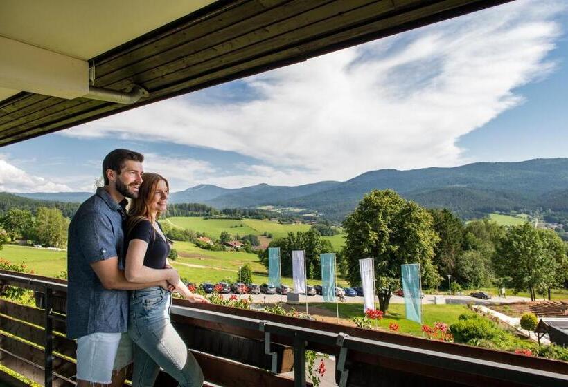 חדר סטנדרט, Sonnenhof Lam