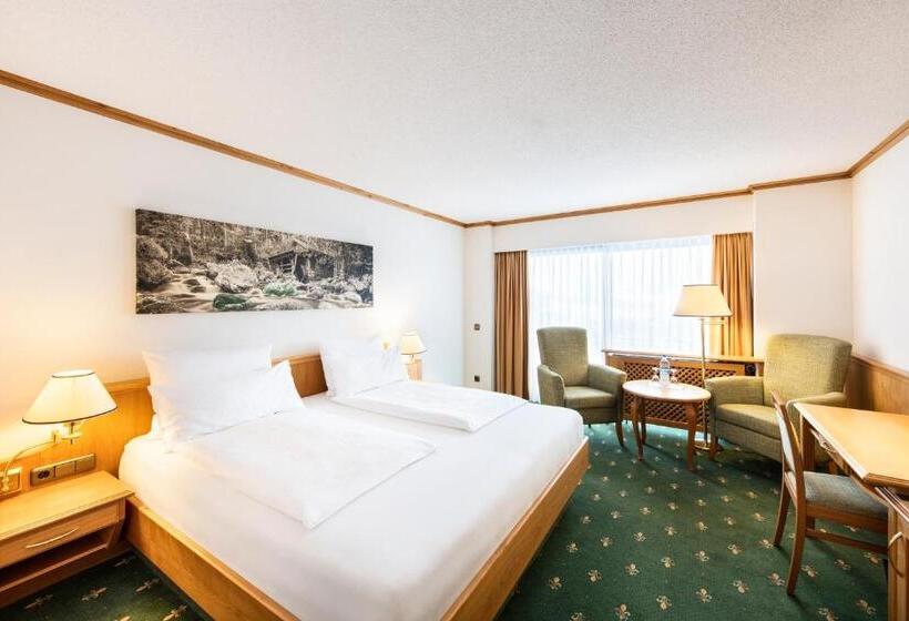 חדר סטנדרט, Sonnenhof Lam