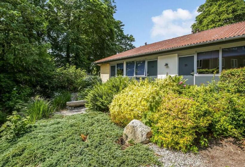 חדר סטנדרט יחיד, Den Gamle Kro Hornslet