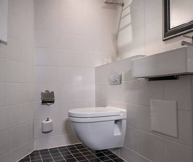 스탠다드 싱글 룸, Mayfair