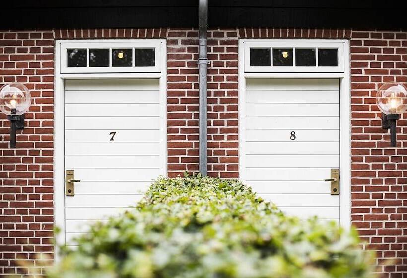 Полулюкс, Molskroen