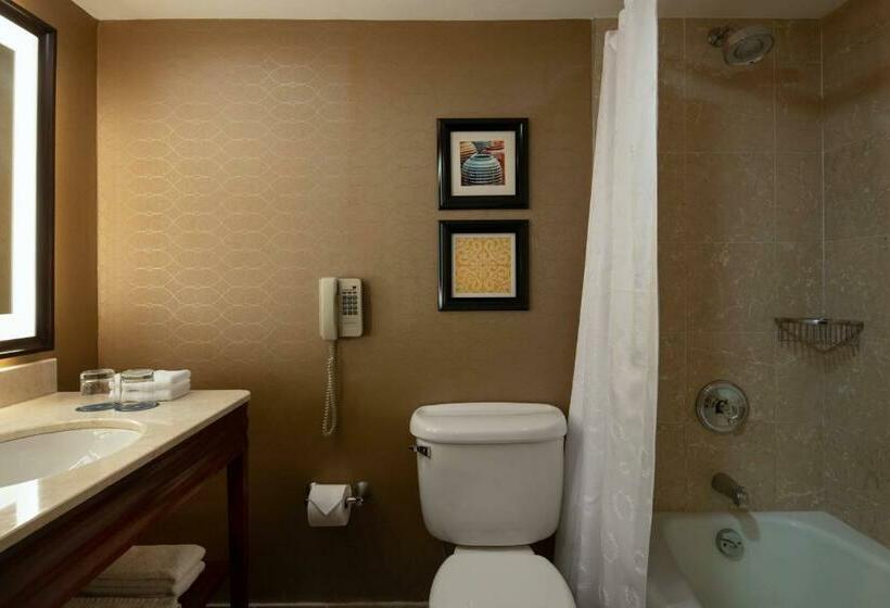 带大床的标准间, Sheraton Santo Domingo