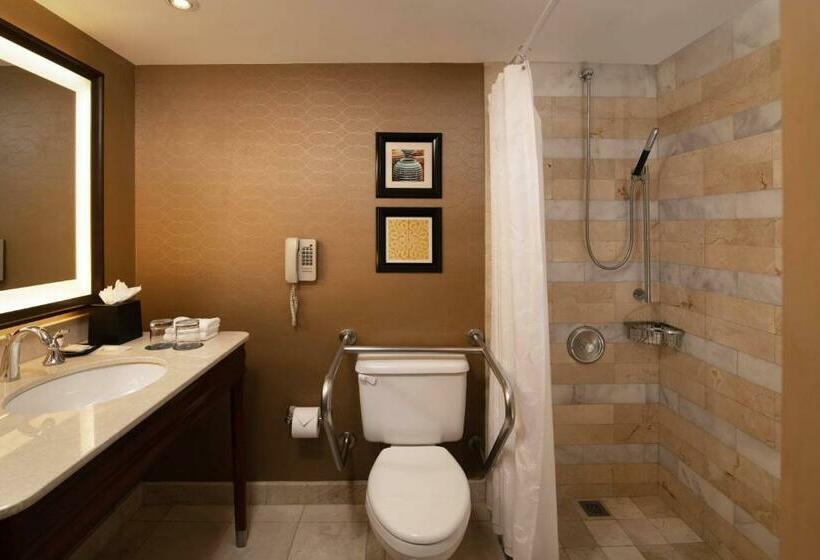 اتاق استاندارد با تخت بزرگ, Sheraton Santo Domingo