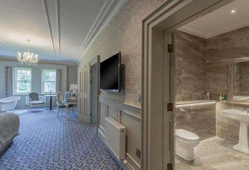 Полулюкс, Ballyseede Castle