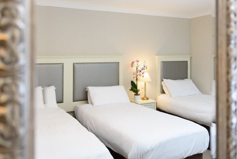 اتاق استاندارد سه نفره, Dooley S