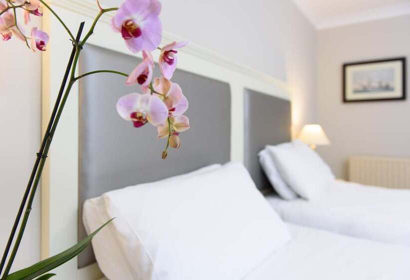 اتاق خانوادگی, Dooley S