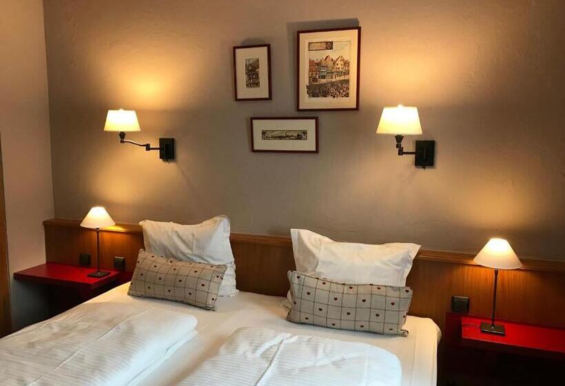 스탠다드 룸 킹사이즈 침대, Hôtel Arnold