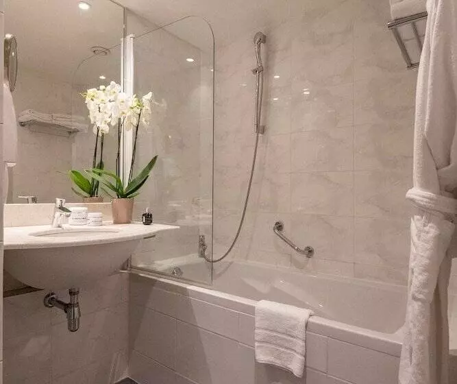 اتاق سوپریور, Best Western Alba
