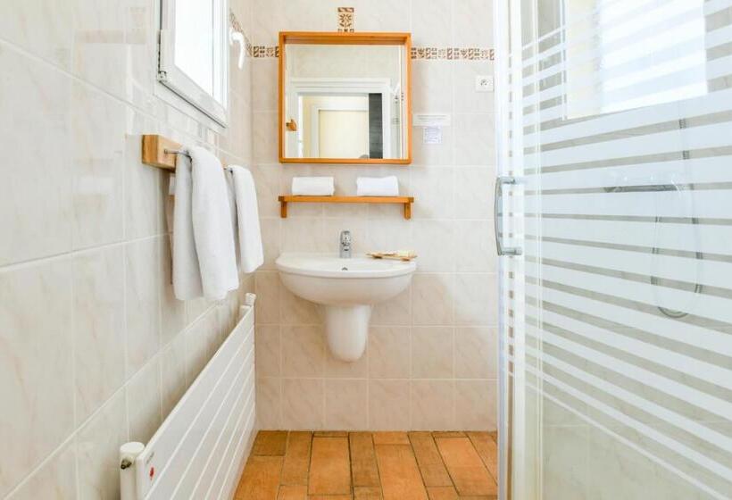 海の見えるコンフォートルーム, Logis Hotel De France