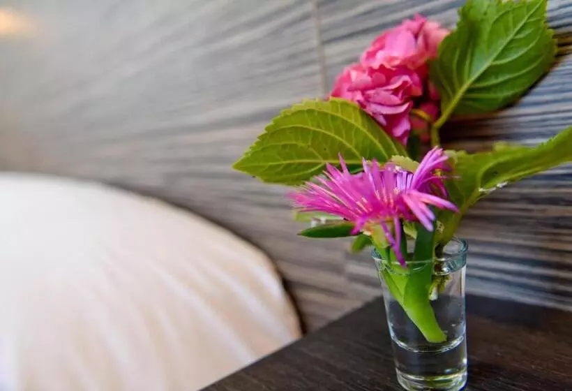 اتاق راحتی با چشمانداز دریا, Logis Hotel De France