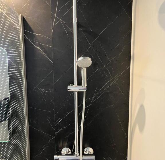 프리미엄 룸, Logis Hôtel Restaurant Des Acacias Lille Tourcoing