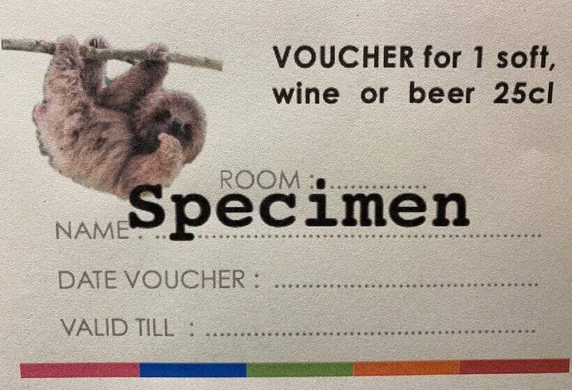 غرفة بريميوم, Logis Hôtel Restaurant Des Acacias Lille Tourcoing