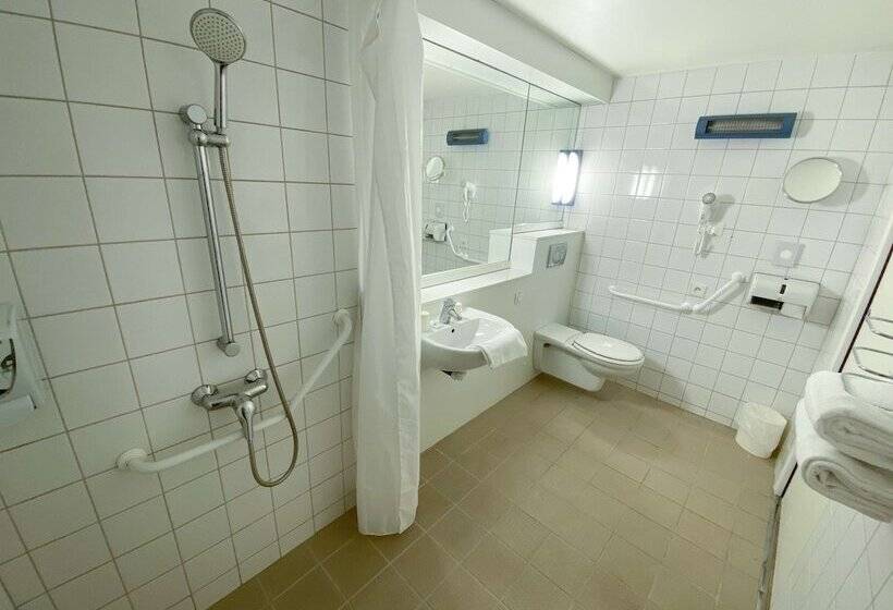 Номер Стандарт, Kyriad Direct Roanne